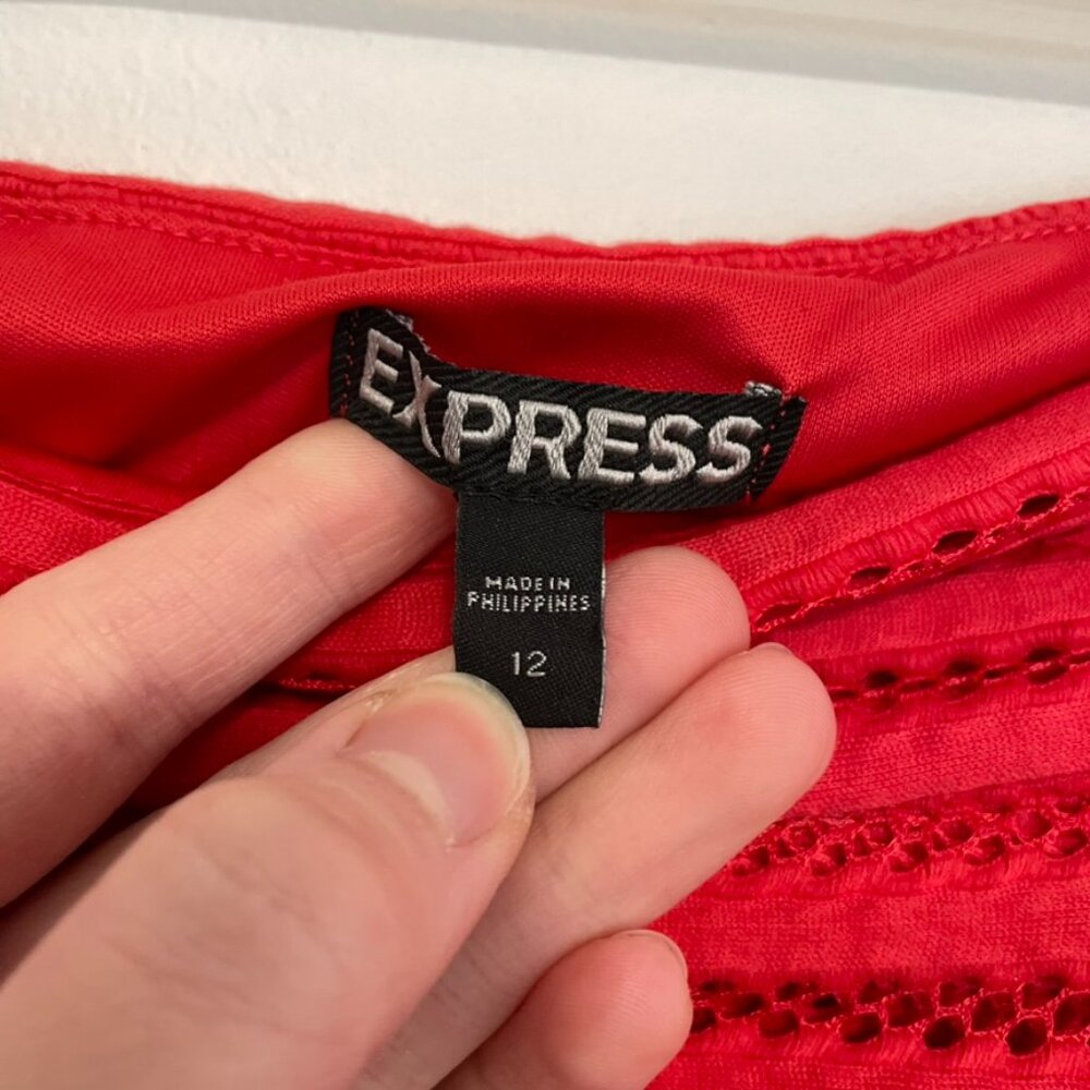 EXPRESS Mesh High Waisted Full Pleated Skirt Red Striped 2010s Mini A-Line Skirt - Picture 6 of 16